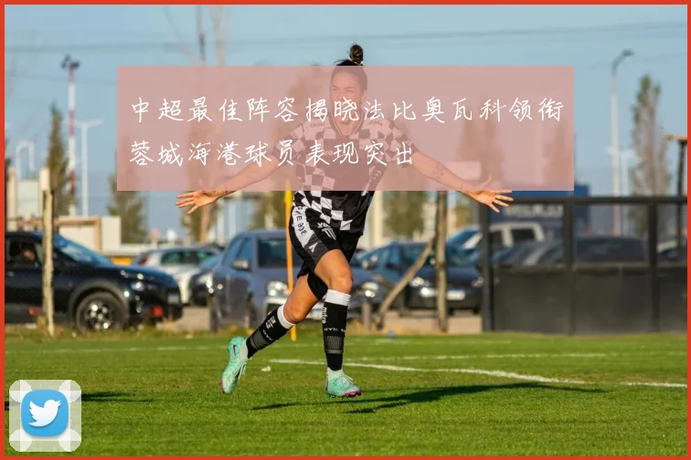 中超最佳阵容揭晓法比奥瓦科领衔蓉城海港球员表现突出