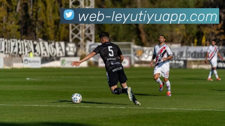 乐鱼体育平台生态图