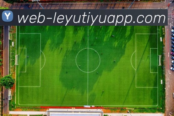 乐鱼体育全站App